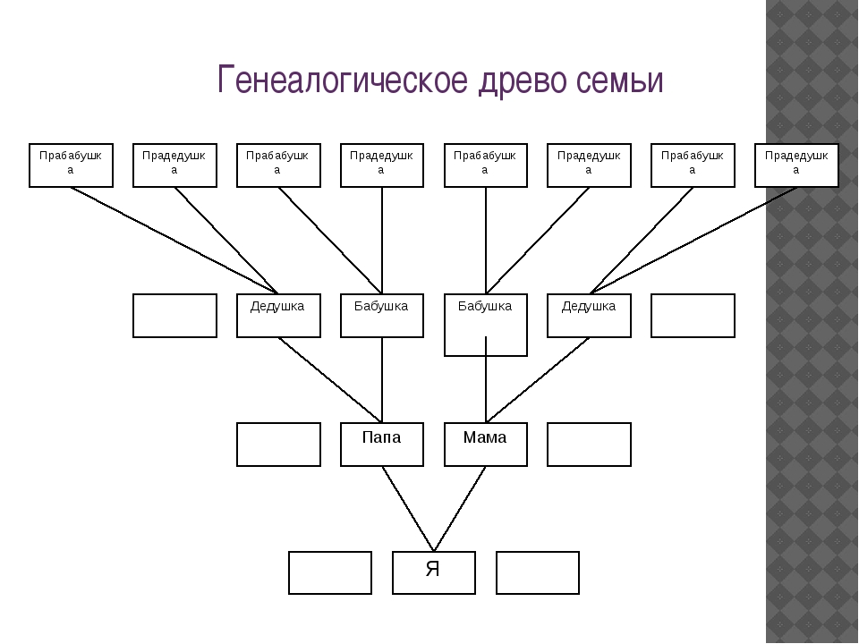 Создать схему дерево онлайн