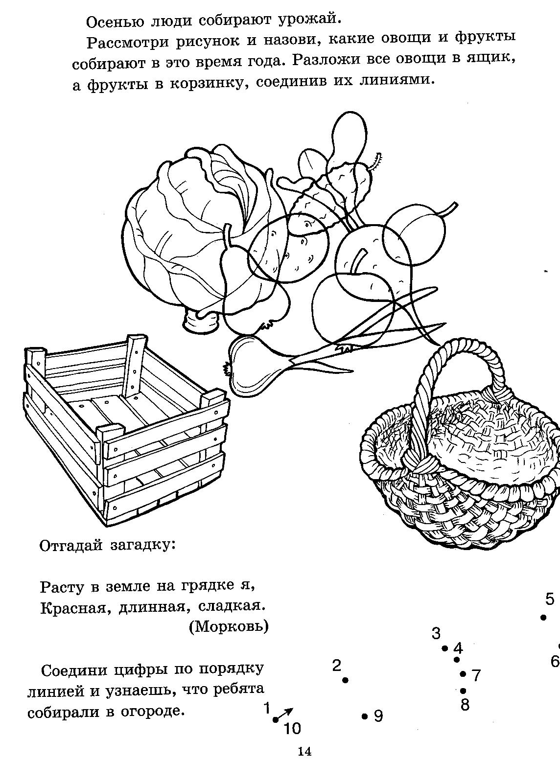 Овощи звуковая схема