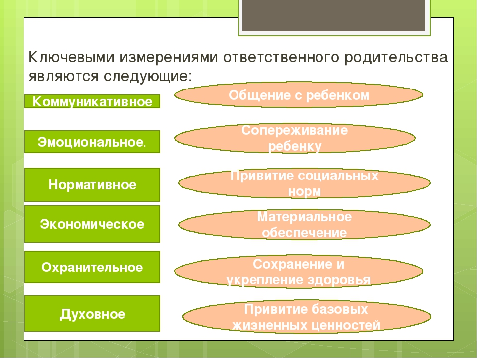 Проект ответственное родительство невский район