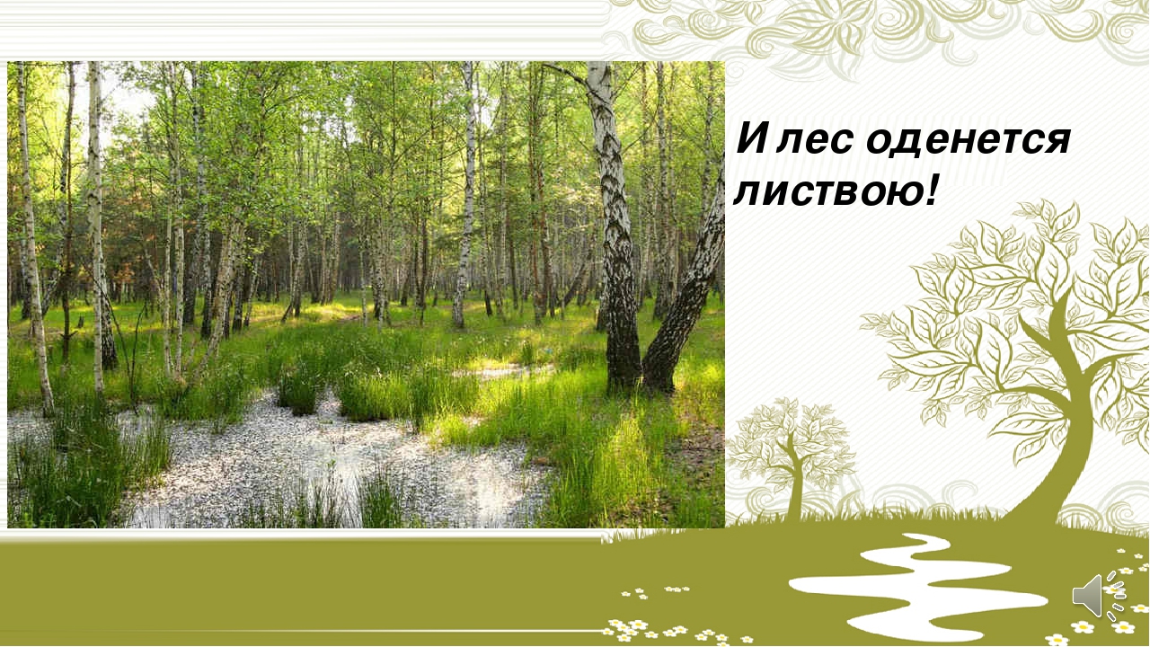 Зеленой листвою одеты. Лес оденется листвою. Лес оденется листвой фото. Картинка и лес оденется листвою для детей. И лес оденется листвою рисунок.