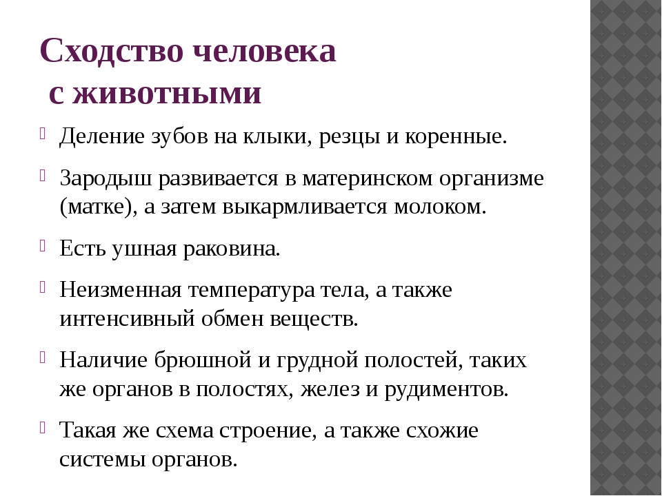 Презентация сходство человека с животными и отличие от них