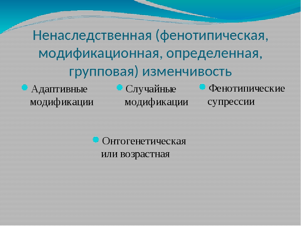 Ненаследственная фенотипическая изменчивость 9 класс