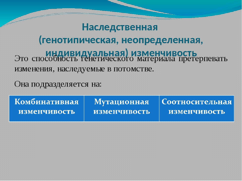 Наследственная генотипическая изменчивость презентация 9 класс