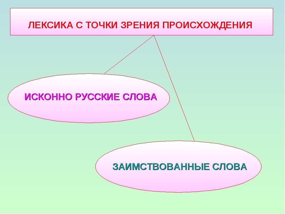 Лексика с точки зрения происхождения 6 класс