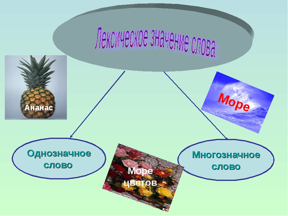 Тема лексика 6 класс