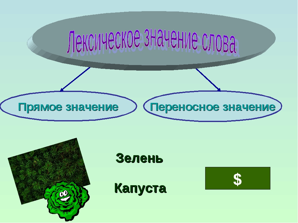 Проект по русскому языку 6 класс лексика