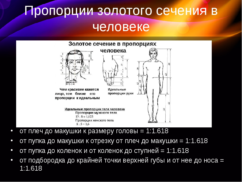 Золотое сечение презентация 10 класс