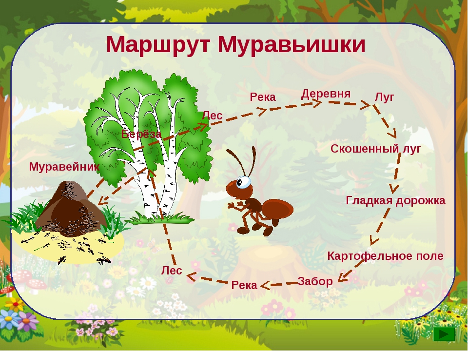 План сказки как муравьишка домой спешил