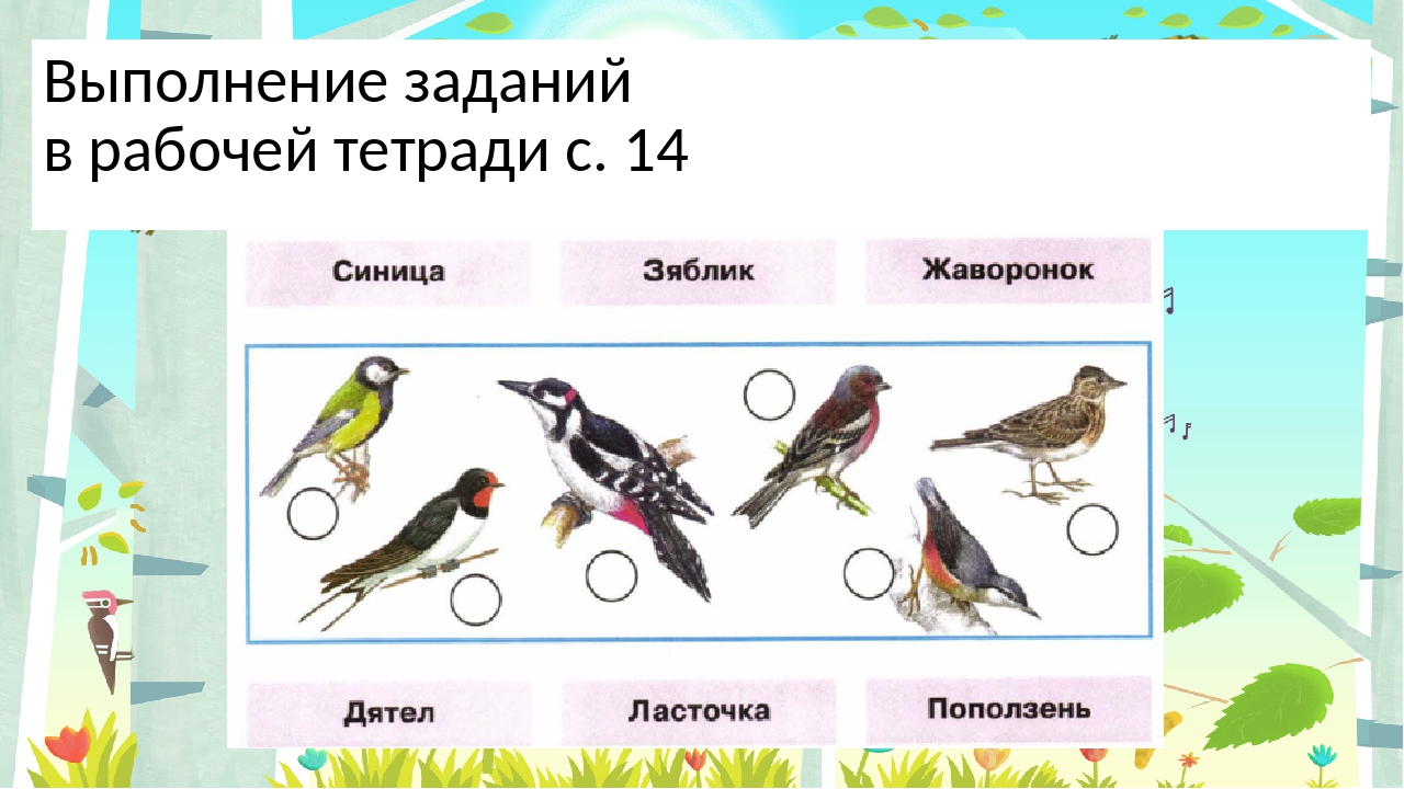 Презентация 1 класс где зимуют птицы школа россии 1 класс