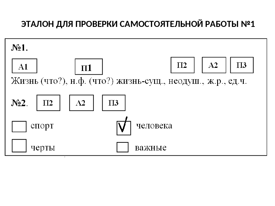 Разбор существительного как часть речи 3 класс образец