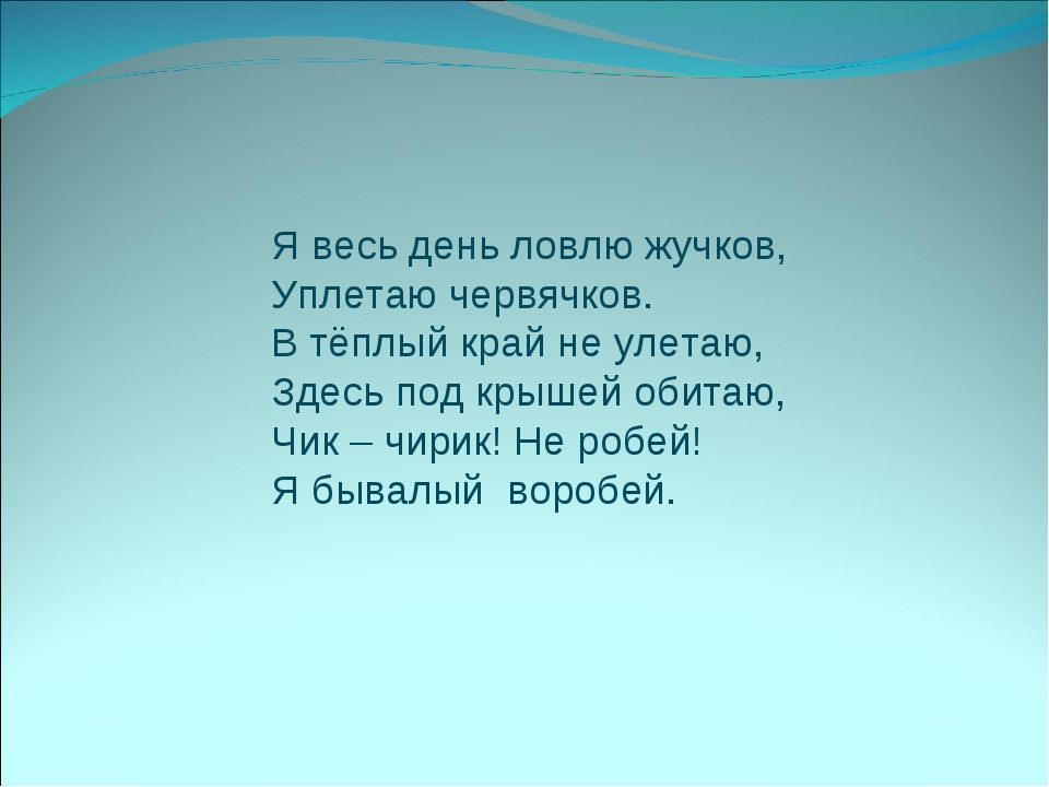 Я весь день ловлю жуков ем букашек червяков зимовать не улетаю под карнизом обитают