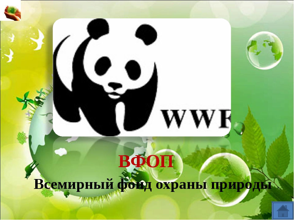 Животное эмблема всемирного фонда охраны природы. Всемирный фонд охраны дикой природы. Фонд защиты природы. Всемирный фонд охраны дикой природы эмблема. Всемирный фонд защиты природы.