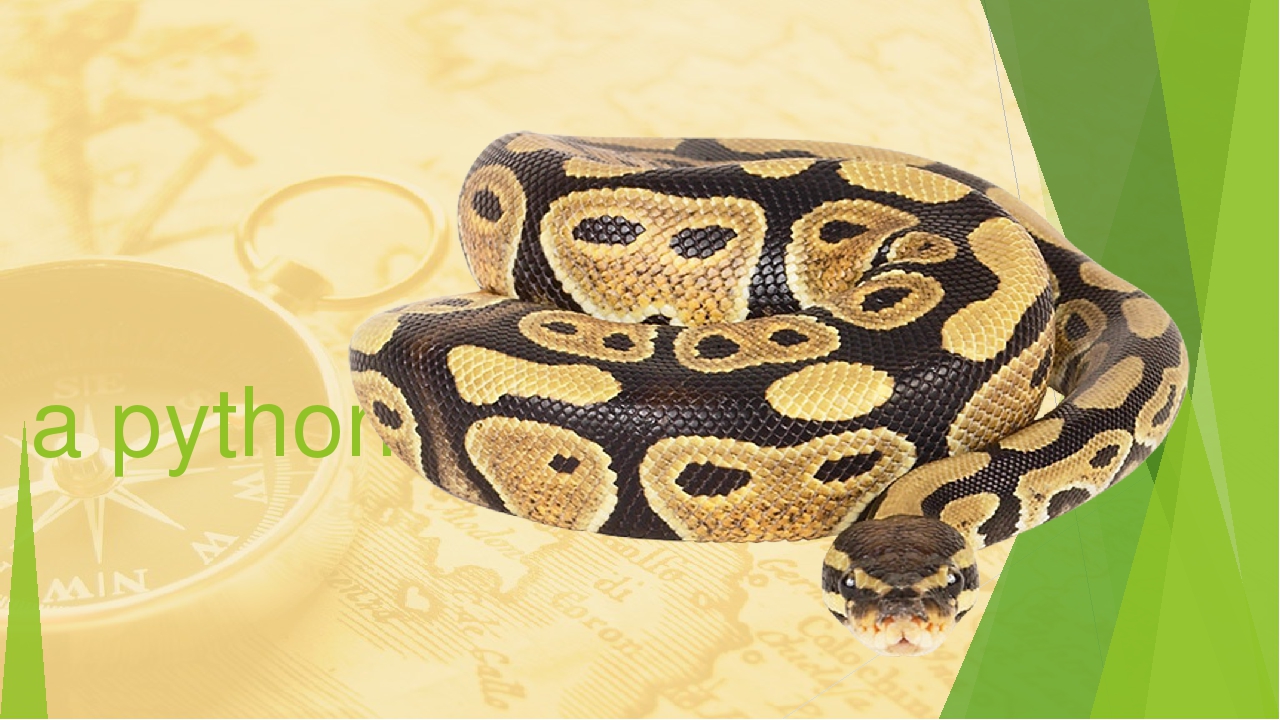 Pet проекты python