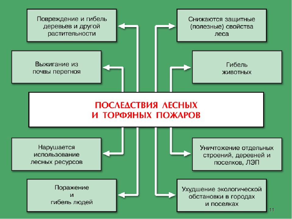 План конспект тушение лесных пожаров