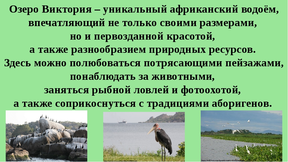 План описания озера 6 класс. Описание озера Виктория. Презентация на тему озеро Виктория. Сообщение о озере Виктория. Озеро Виктория презентация 7 класс.