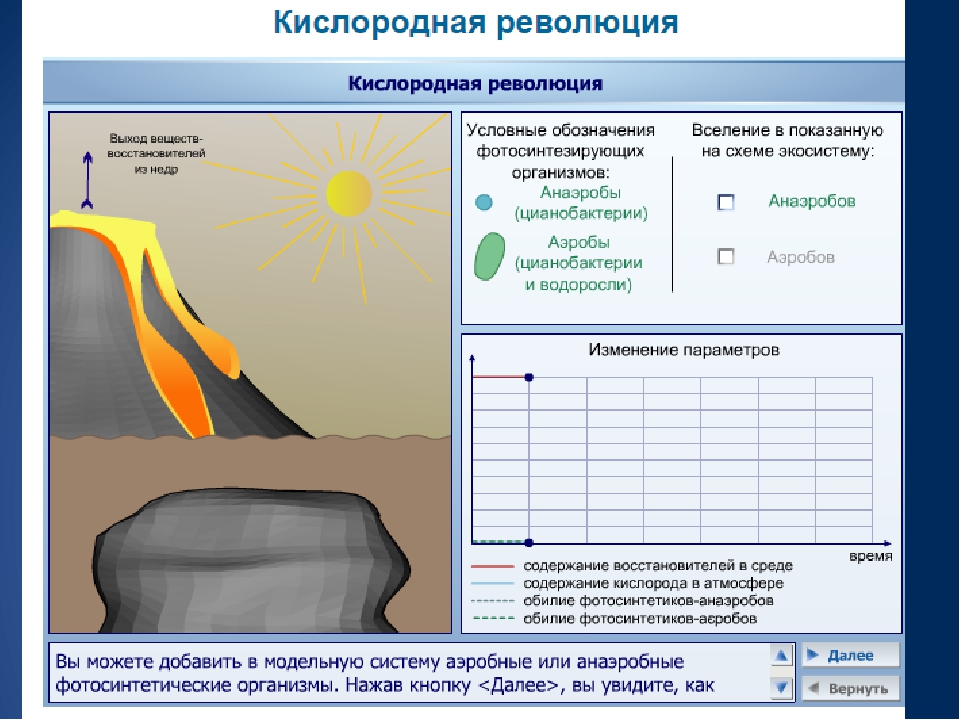 Презентация к реферату