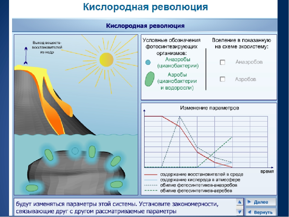 Презентация к реферату