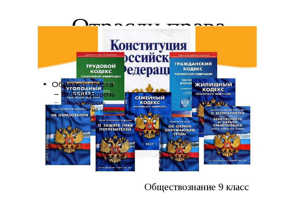 Презентация на тему процессуальные отрасли права 10 класс обществознание боголюбов