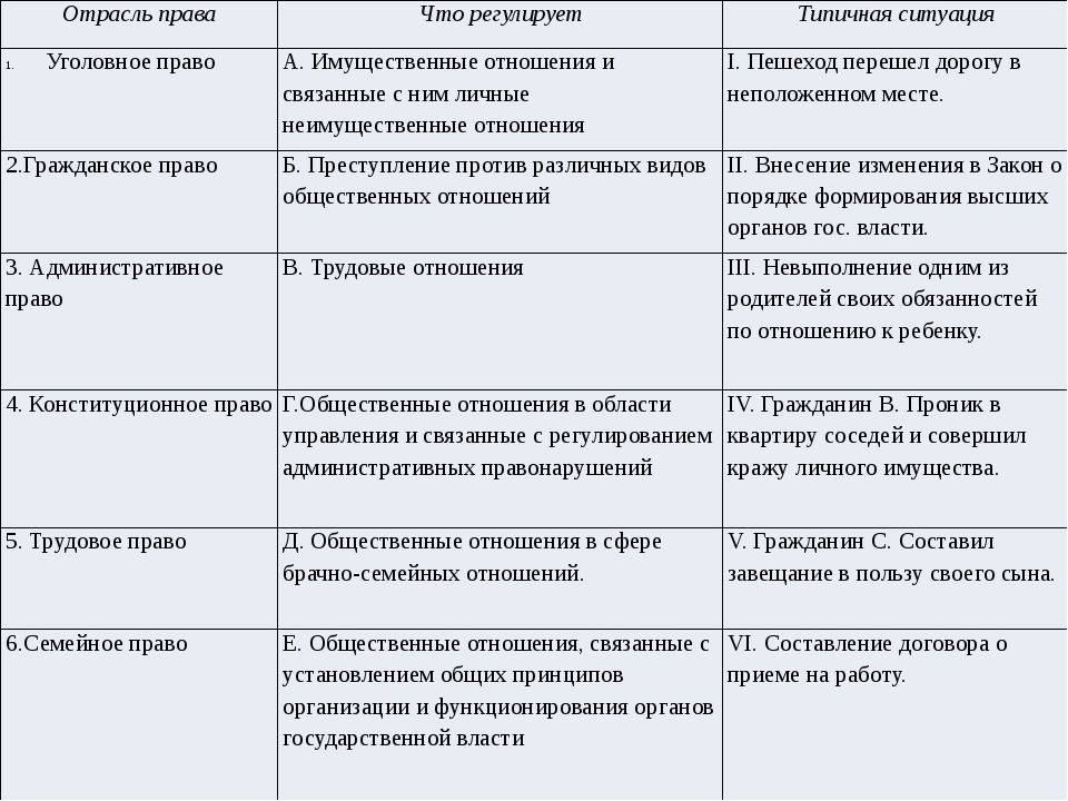 Процессуальные отрасли права развернутый план