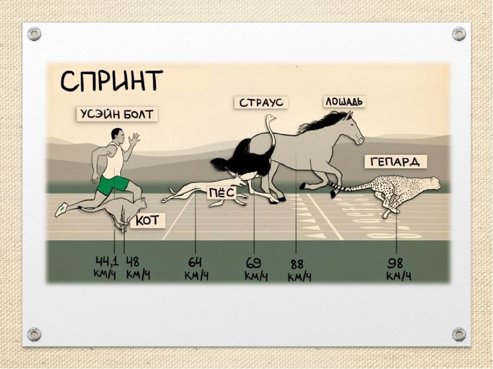 Скорость человека км ч. Средняя скорость человека. Средняя скорость бега. Средний темп бега. Средняя скорость бега человека.