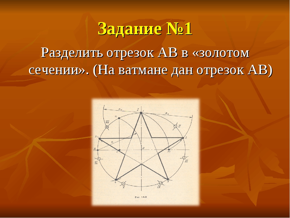 Золотое сечение математика проект