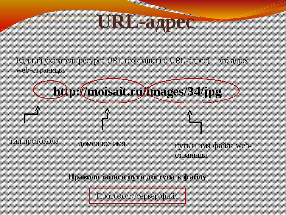 Url адрес файла как узнать