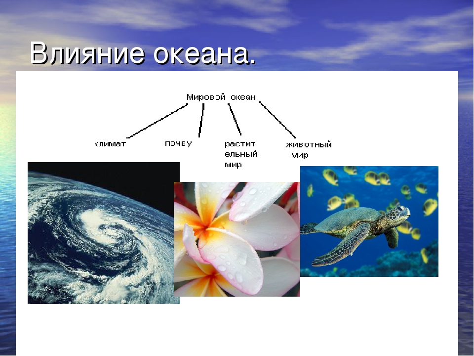 Воды океана презентация 6 класс география полярная звезда