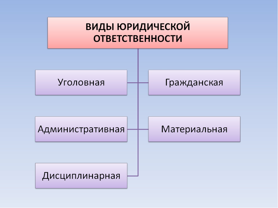 Защита правопорядка проект