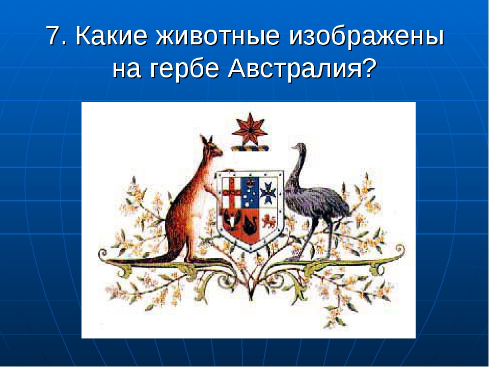 Какой зверь на гербе. Каких животных изображают на гербах. Животные на гербе Австралии. Какие животные изображены на австралийском гербе. Эмблема материка Австралии.