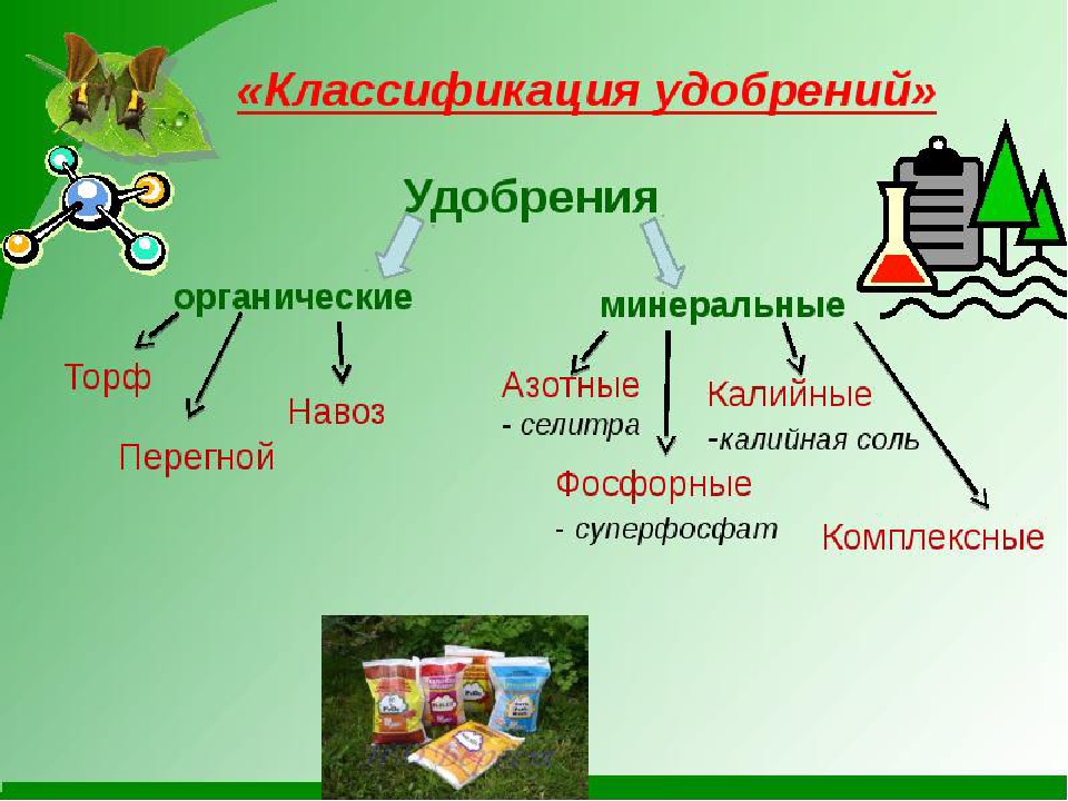 Придумайте и нарисуйте схему доказывающую что минеральное питание животных и человека зависит от