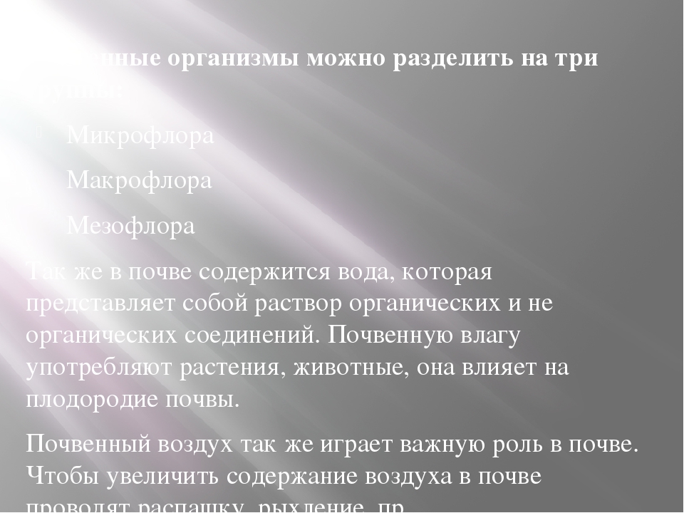 Почва особое природное образование презентация 8 класс пятунин