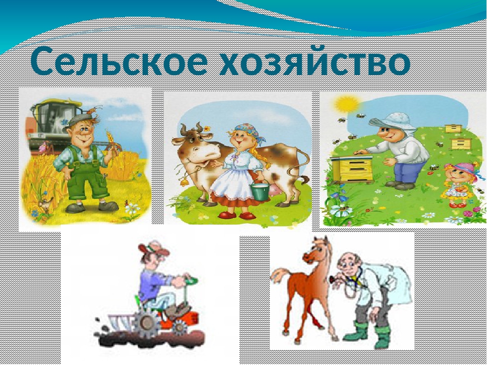 Профессии 8 класс