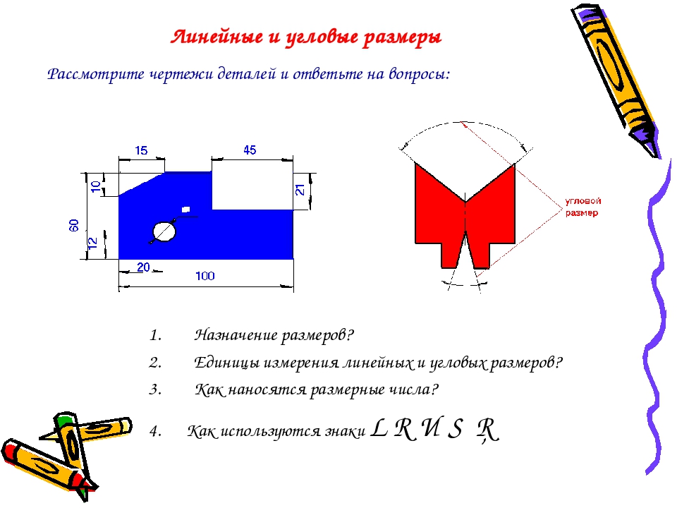 Линейные размеры изображения