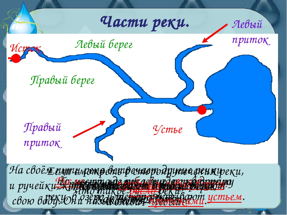 Водные богатства презентация