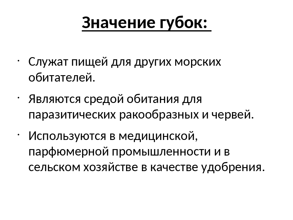 Губки презентация 7 класс биология