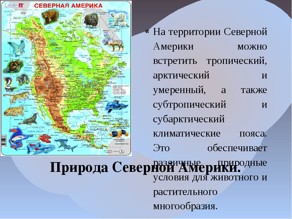 Презентация регионы северной америки 7 класс