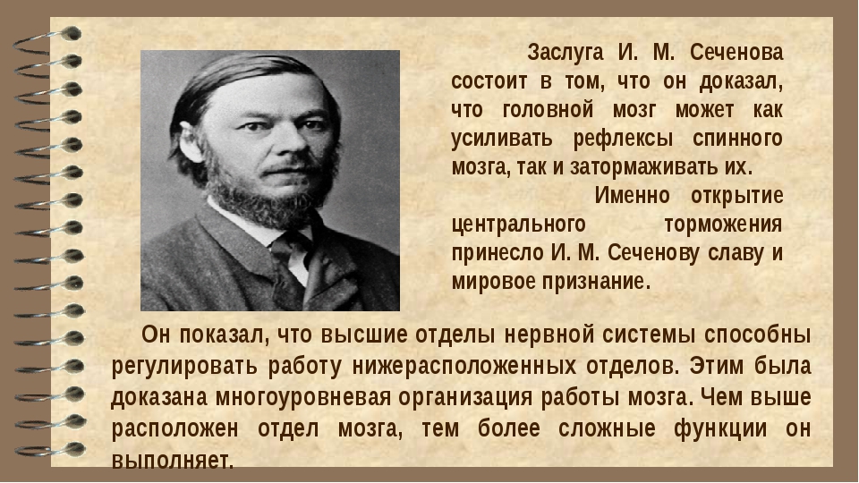 Роль отечественных ученых в становлении и развитии мировой органической химии презентация