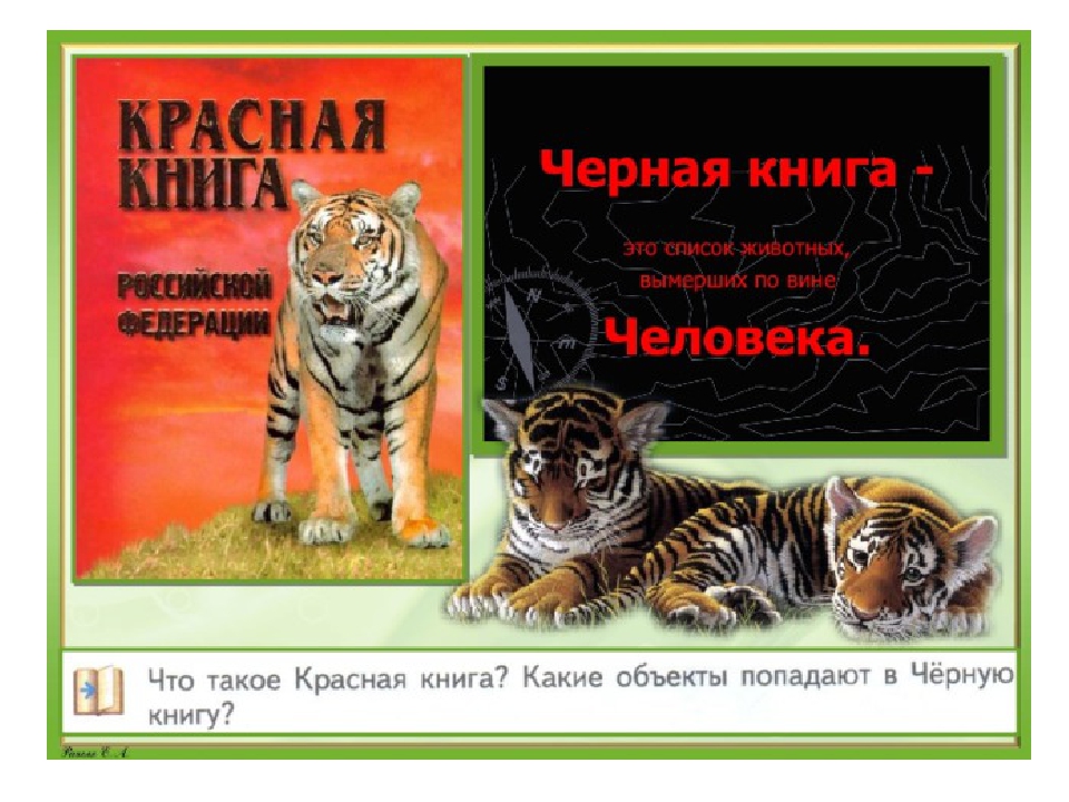 Однкнр 5 класс проект красная книга