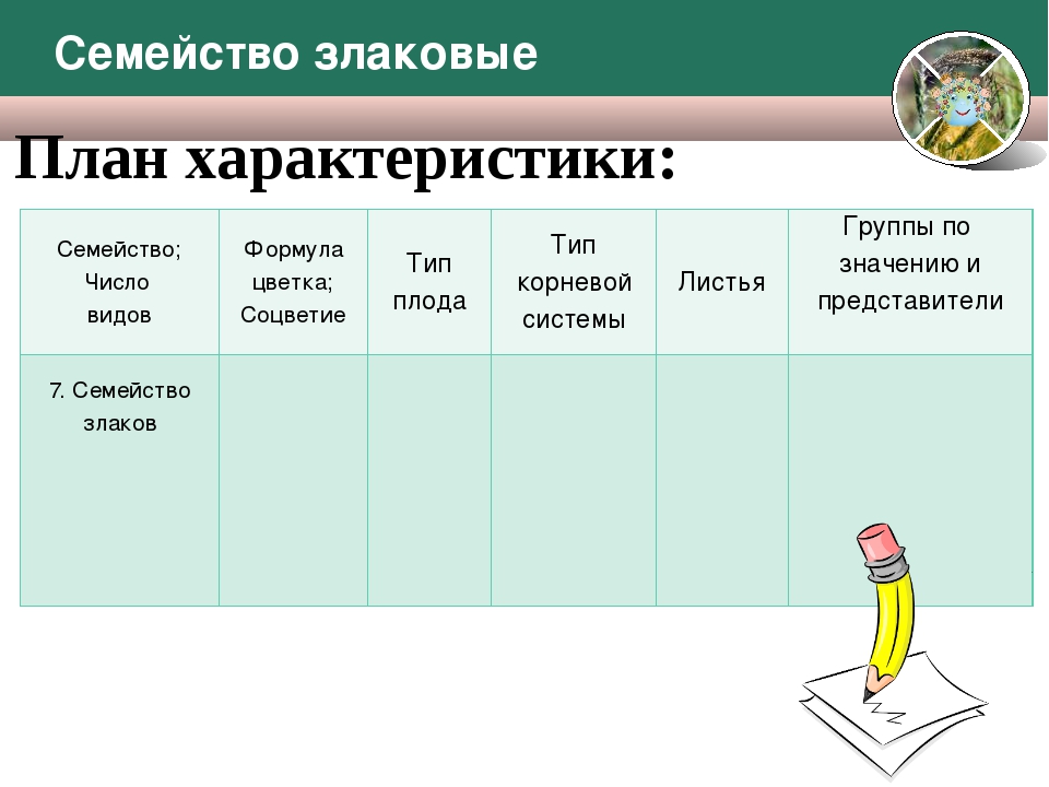 План характеристики семейства