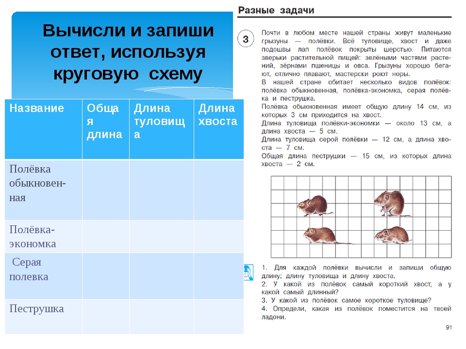 Вычисли и выбери верный ответ fat16 в блокнот notepad введен текст питание