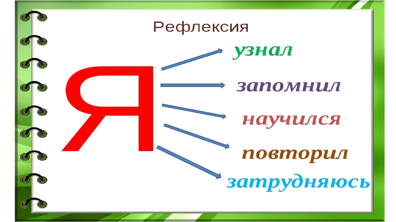 Измерение площади с помощью палетки 4 класс школа россии презентация